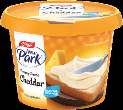 Shadow New Park Kashkaval Cheese New Park